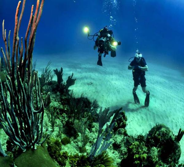 SCUBA DIVING